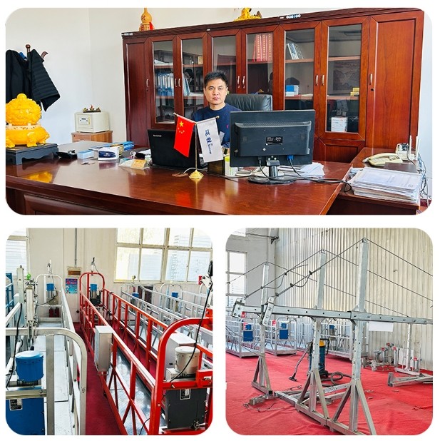 Shandong Ruierte Tecnologia Eletromecânica Co., Ltd. Shandong Ruierte Tecnologia Eletromecânica Co., Ltd.